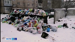 Рубцовск в первые дни нового года буквально утонул в мусоре