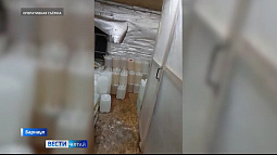 Алтайский краевой суд отправил за решётку двух братьев за организацию нарколаборатории