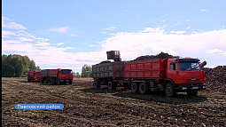 На полях Калманского и Павловского районов стартовала круглосуточная уборка сахарной свёклы