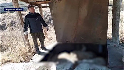 Жители села Озёрки Чарышского муниципального округа пожаловались на скотомогильник